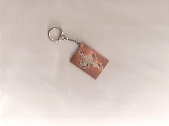 By i_heart_dragons
So this is something new and different for dragnix. I made this keychain in art in middle school. It's brushed copper and texture pressed aluminum, I think. It's not the greatest because I'm bad with jewelry saws.
