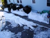 Filename=Snowdragon_001.jpg
Filesize=410KiB
Dimensions=1600x1200
Date added=Mar 21, 2010 Snowdragon_001.jpg
