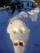 Filename=Snowdragon_003.jpg
Filesize=247KiB
Dimensions=1200x1600
Date added=Mar 21, 2010 Snowdragon_003.jpg