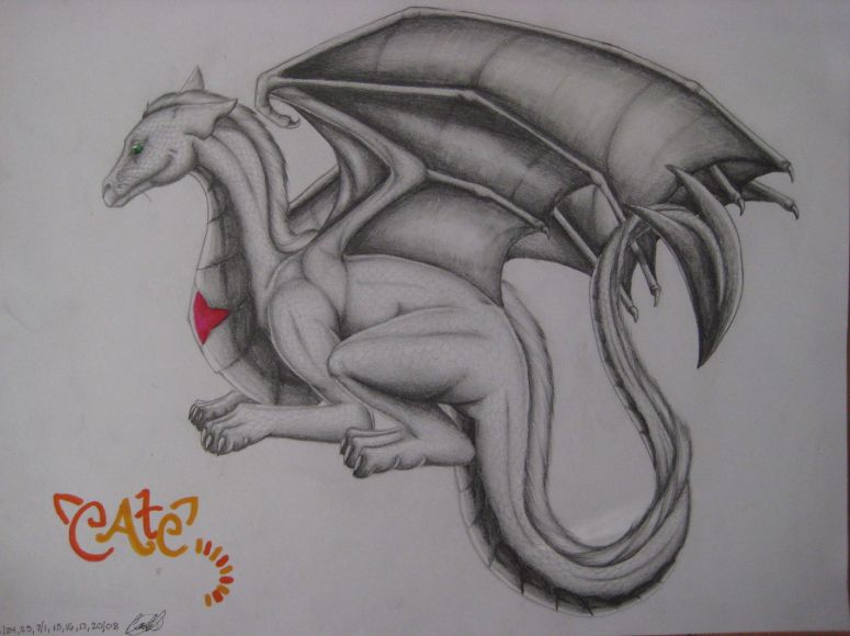 CatC - By Jade Dragon
CatC, really sorry about the delay, but yeah, hope you like it! :)
