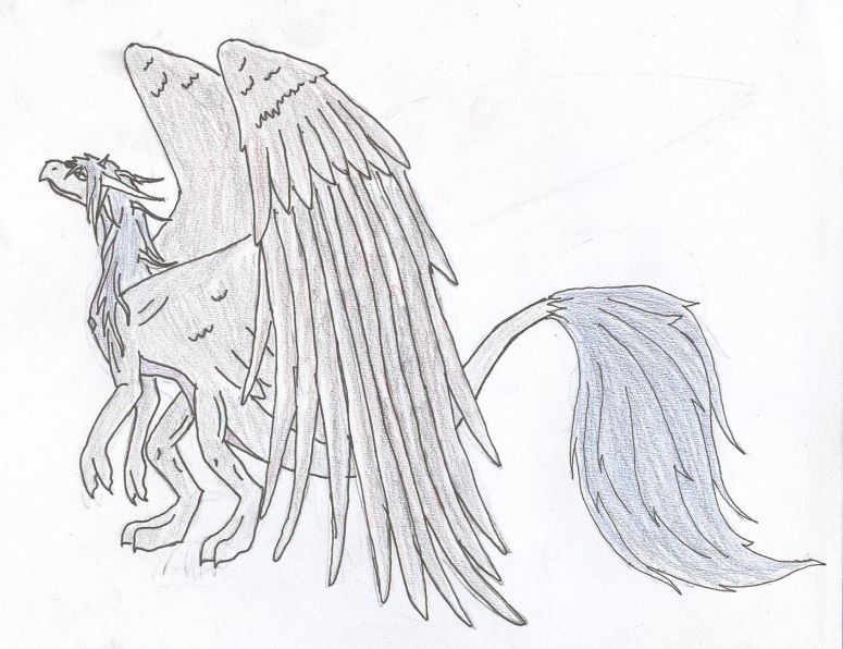 Mdw with feathers - By Midnight Dire Wolf
So... I haven't been drawing dragons recently so I just drew MDW with feathered wings for the heck of it. 
I used watercolor pencils and I haven't watercolored it yet so that's why it's all... yeah....
