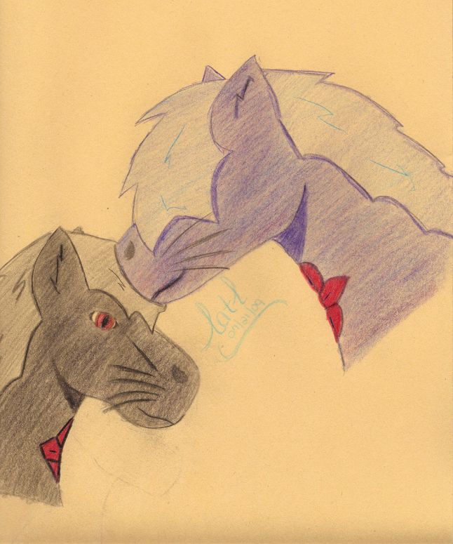 By CatC
07/21/09
I was bored and decided to try free hand again and this time i used colored pencils instead of a sharpie (btw it is much easier with the pencils) These are my character in both the light and dark form. It was drawn in colored pencils and on construction paper (all i have at the moment....) hope ya like it :)
Keywords: Head