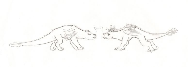 The first encounter - By Nayru
This is the first of many pictures of these two dragons. some will be colored, others not. if you want me to color this one and send it back in next week, please tell me in the comments. the dragon on the right is me, Nayru. the other is a friend of mine. i hope you like it!
