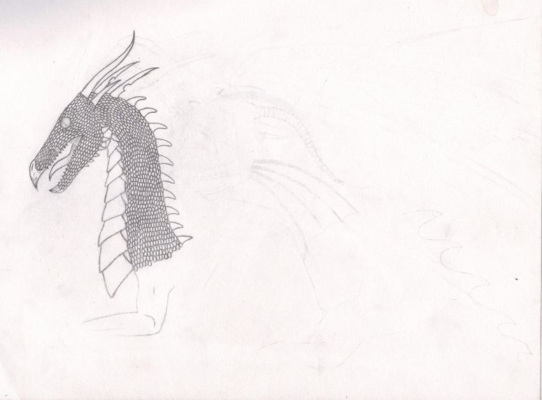 Bird Dragon - By Oreochema
Just a bit of practice I never quite finished!!
Keywords: Head