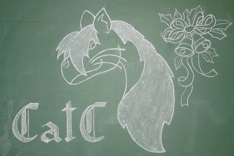 CatC - By Azdaracylius
This was easy to do, but I used a lot of chalk with the white hair^^
Keywords: head