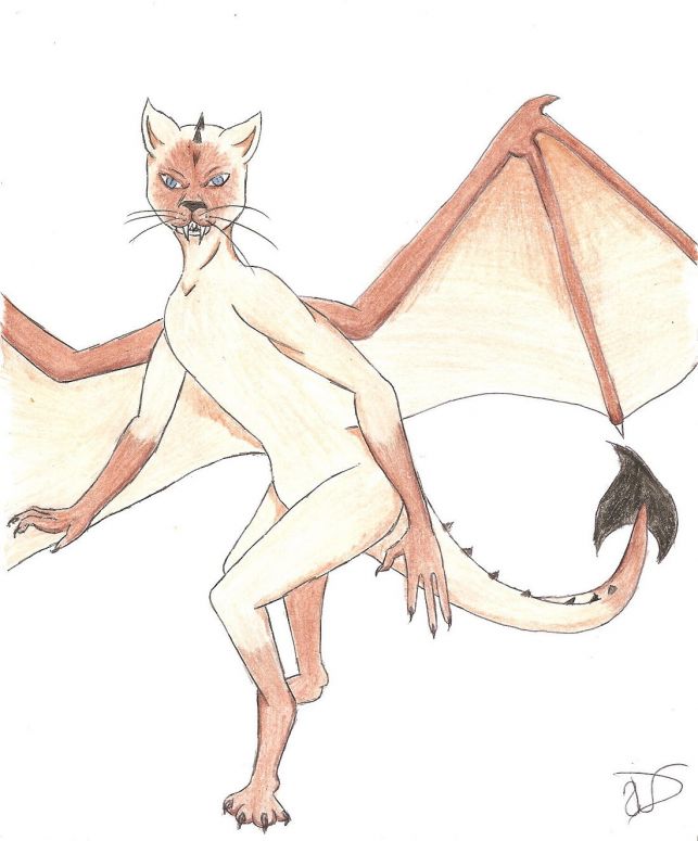 Felis Draco - By Dragonness Wyverna
The cat dragon. The surprise I promised LOM, and dedicated to Catc,
Keywords: Chimera