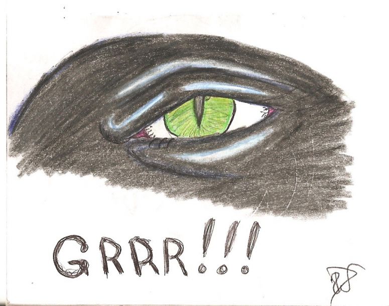 Eye'm Watching You 2 - By Dragonness Wyverna
This is actually Dragonness Wyverna's (my) eye
Keywords: Eye