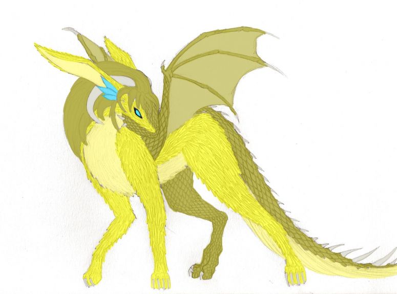 New Maehem - By Silveera
Thunder Forigan
