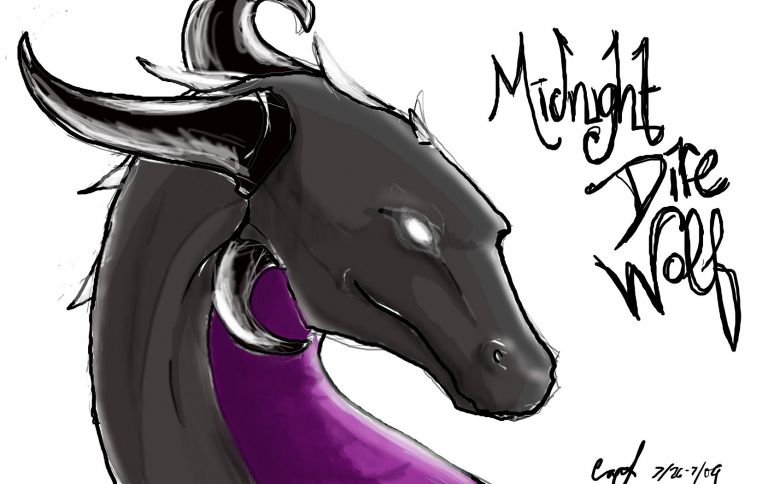 Midnight Dire Wolf - By Jade Dragon
Don't know if she comes here anymore, but just a thank you pic for drawing me. ^^
Keywords: Head