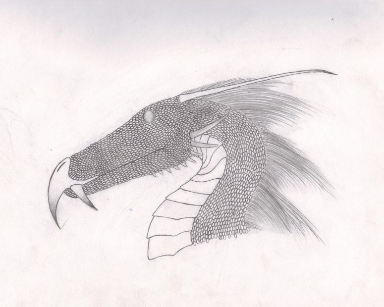 Designed To Kill - By Oreochema
This one is similar to a dragon in one of the stories I'm writing. It resembles the main character, who is half human and half dragon, a Darkut, and can breathe both fire and ice.
Keywords: Head
