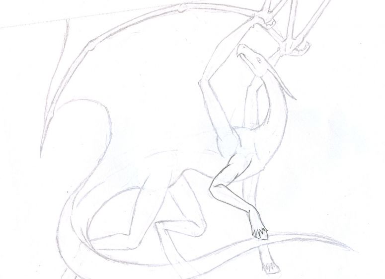 Dragon - By Midnight Dire Wolf
I know, original name. This was for my design project and I hadn't drawn a dragon in literally forever. So this one was to get beck into the groove.
