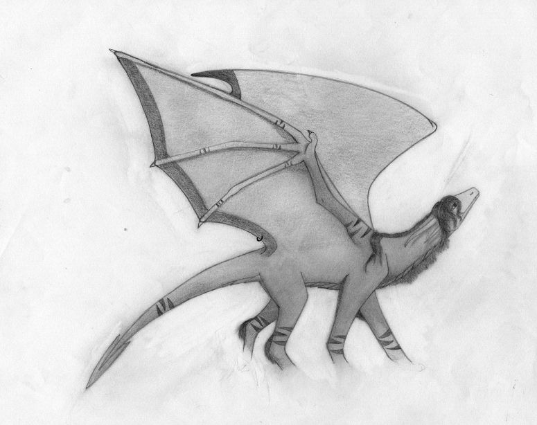 By Tiamal
I'm going to have a naming contest for this dragon its a female so chose wisely!
