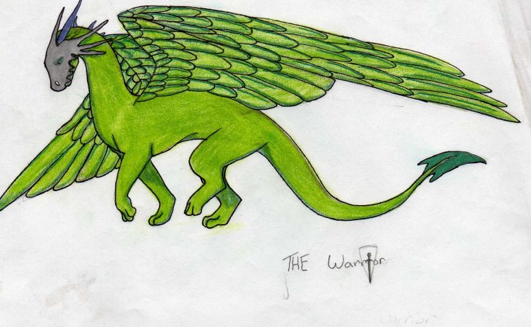 The warrior - By Tiamal
