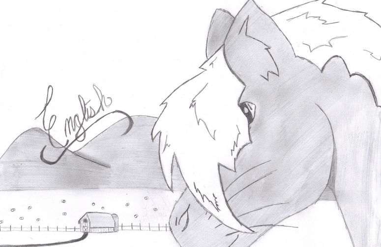 By CatC
09/10/09
Well this is the cover of my english binder.  I got super bored and decided to draw one. The only thing i can say i dont like about it is the haybales in the background they look like flufity puffity marshmellows xD oh well anyways hope ya like it.
Keywords: head