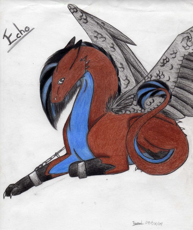 Echo - By Tiamal
