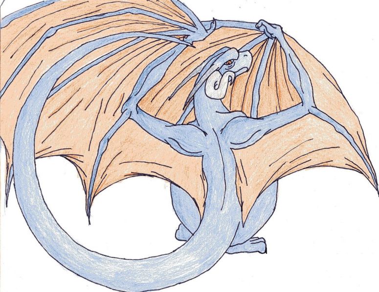 CatC request - By Midnight Dire Wolf
Here's that back view dragon you requested.
