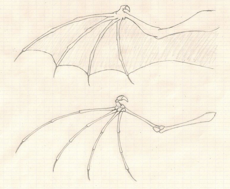 By the Lonely Dragon
