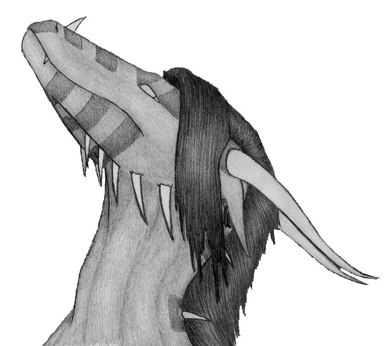 By Serenity
Srry I keep bombarding u guys with piccies of Sere, but she seems to be the only character I can manage to draw right now...
Keywords: Head