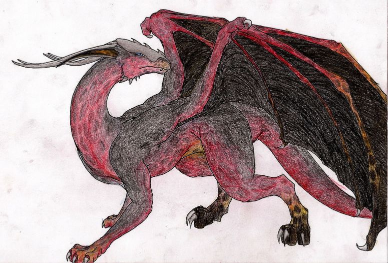 New Silveera - By Silveera
