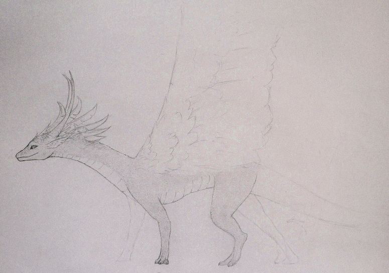 Swiftler WIP - By Silveera
Wind dragon in my WIP story, Dragon Stones

