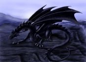 Filename=BlackCanionDrag.jpg
Filesize=247KiB
Dimensions=1582x1163
Date added=May 03, 2009 BlackCanionDrag.jpg