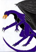 Nighthawk_s_Portrait.jpg