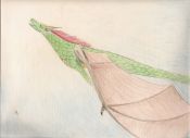Filename=Stephanie_s_Art0027.jpg
Filesize=343KiB
Dimensions=1400x1018
Date added=Aug 30, 2009 Stephanie_s_Art0027.jpg