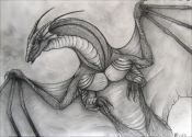 Filename=dragon_181.jpg
Filesize=530KiB
Dimensions=1615x1161
Date added=Jan 18, 2009 dragon_181.jpg