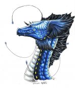 Filename=dragon_head_blue_black_20090603-0610.jpg
Filesize=264KiB
Dimensions=1322x1562
Date added=Aug 16, 2009 dragon_head_blue_black_20090603-0610.jpg