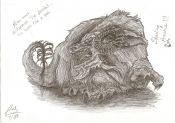 Filename=mryakdragon.jpg
Filesize=500KiB
Dimensions=1527x1074
Date added=Jul 12, 2009 mryakdragon.jpg