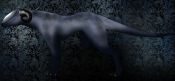 Filename=wardrak_silver.jpg
Filesize=589KiB
Dimensions=2156x1004
Date added=Dec 20, 2009 wardrak_silver.jpg