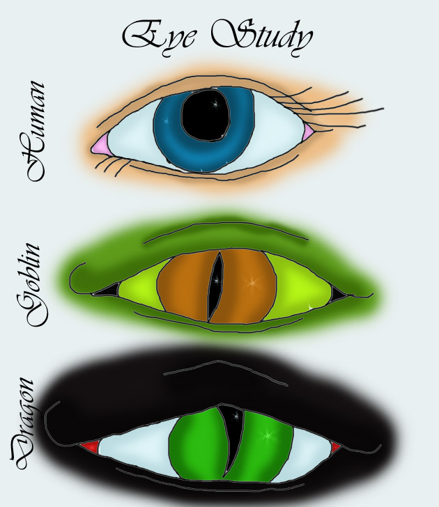 Eye Study - By Dragonness Wyverna
Just a little fun I was having. I have an affinity for eyes. They're fun to draw!
Keywords: eye