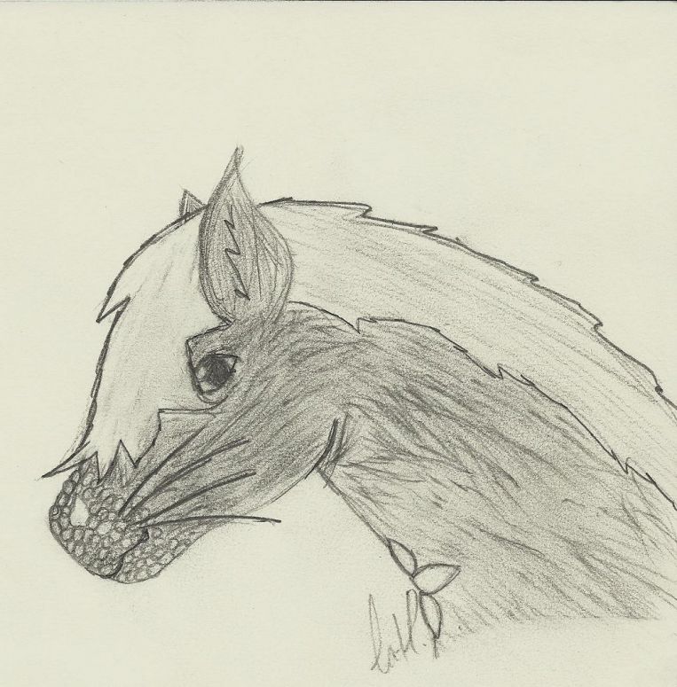 Dragoncat Sketch - By CatC
12/24/2010
A more detailed picture of a dragoncat's face n.n 
Keywords: head