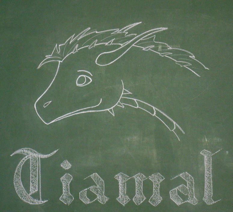 Tiamal - By Azdaracylius
Tiamal asked me, so I drew this just before I left the dormitory for the holidays. I know it could be more detailed, but actually heads on Tiamal's picture are not very detailed.
I hope she's ok and will see it.
Keywords: head