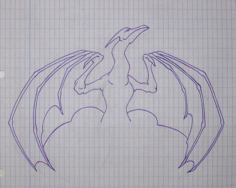 By Azdaracylius
I like wings. And I didn't know how to place the legs...
