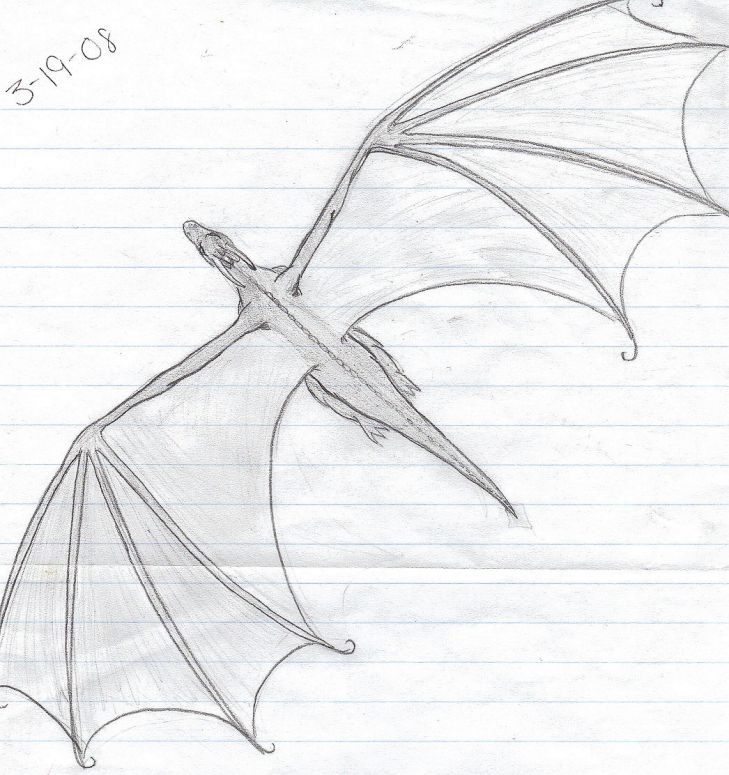 Flight - By Unknown
