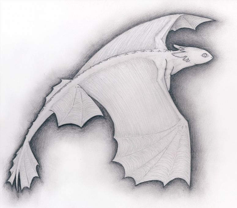 HTTYD Night Fury - Serenity
