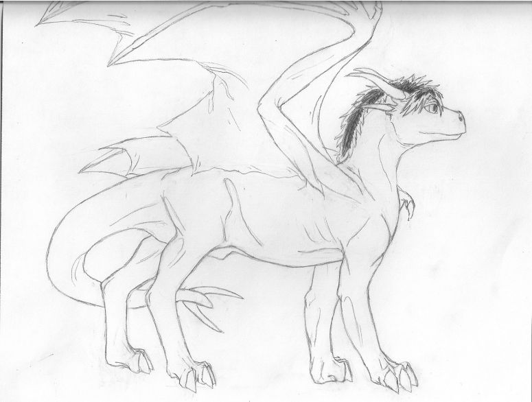 By Delbin
Haven't sent anything in for a long time so I figured I would send a dragon picture in to try and get into it again lol so here's my human character Yuki Takashi in his dragon form. yeah. not much more to it than that lol
