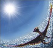 Filename=MoreThanFine.jpg
Filesize=241KiB
Dimensions=1333x1200
Date added=Aug 22, 2010 MoreThanFine.jpg