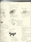 Physiology_of_the_dragoncat.jpg