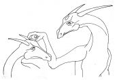 Filename=dragon_275.jpg
Filesize=150KiB
Dimensions=1652x1114
Date added=Sep 05, 2010 dragon_275.jpg