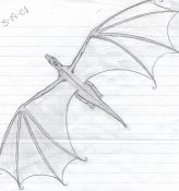 Filename=flight.jpg
Filesize=268KiB
Dimensions=1046x1112
Date added=Feb 28, 2010 flight.jpg
