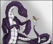 Filename=snakedragon.jpg
Filesize=121KiB
Dimensions=1000x831
Date added=Jan 17, 2010 snakedragon.jpg