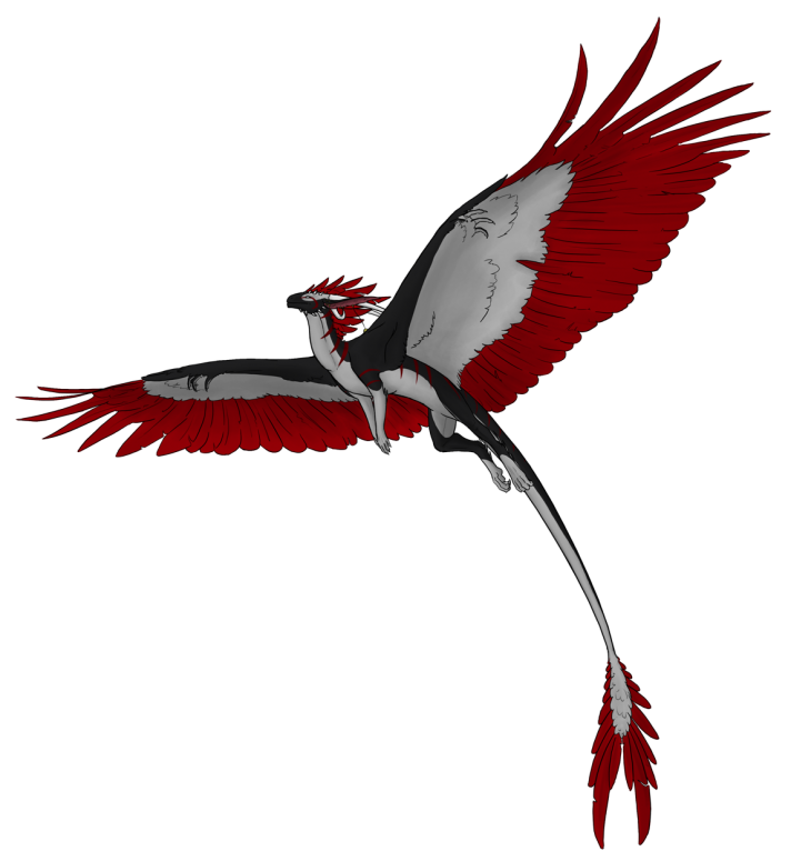 Fly - By Silveera

