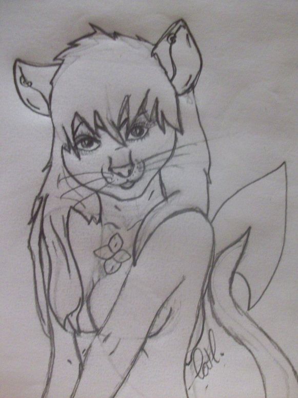 Dragoncat Human Form - By CatC
It's been a while coming and I FINALLY got one I liked so this is the Human-ish form of the infamous dragoncat of my OC. As you can see it has the feline characteristics and also the <^> marking and bladed tail. It has the dragonlike eyes and the blade tip. This form is covered by double thick purple fur :D this has taken about an hour so far.
Keywords: Anthropomorphic