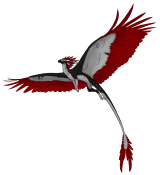 Fly_copy.png