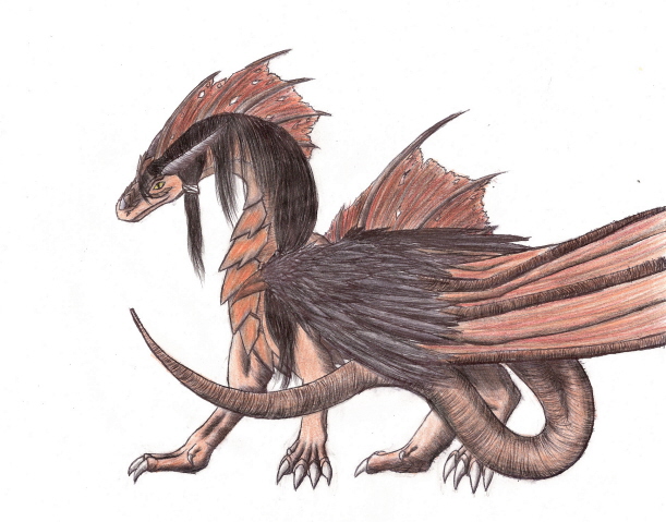 Aaron - By Kelsey Kwolek
My boyfriend as a dragon. He's big, 5'11', and his body is build kind of heavily(not fat). He gives the warmest hugs and he's  probably got the most personality of almost every guy I've met. This drawing was a pain. I had to redraw the head 20 times getting the face and the eye to match up. I had fun with his long hair, and I added feathers just randomly.
