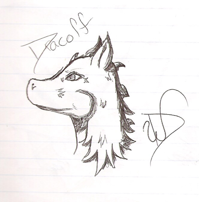 A Future Dragnix Member (Hopefully) - By Dragonness Wyverna
I met this guy at the art camp I attended, and this is the prototype of the picture he 'commissioned'.  He never did pay me for it. . .
