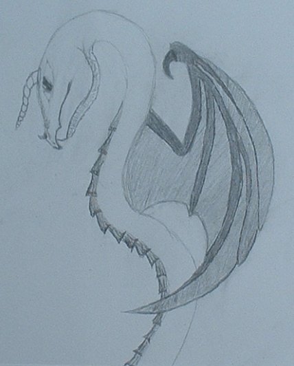 The Fruit of my Geometry-Related Boredom - By Dragon_Wing
This is the first dragon I've done, so it's not great by any means. After looking at it, its body should probably be a bit thicker, but I'm too lazy to fix it. Oh, and I kind of looked off of "Tiamat" for the wing design. (I hope you don't mind, Dragonfire!) Sorry for the roughness; I drew it in the back of my binder.
