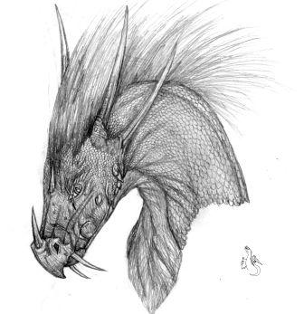 Glaedir - By Makla
My view of the old golden dragon, Glaedir.  i actually have two versions of this dragon and will send in the other one as soon as i can find it... heh.
Keywords: Head